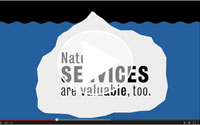 1 1 2 WhatIsNatureWorth