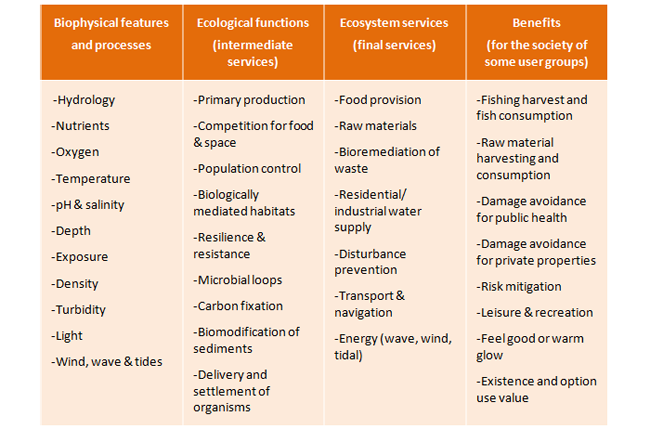 3 1 2  Table From Biophysical to Benefits