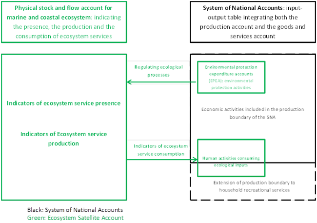 3 5 7   Ecosystem accounting